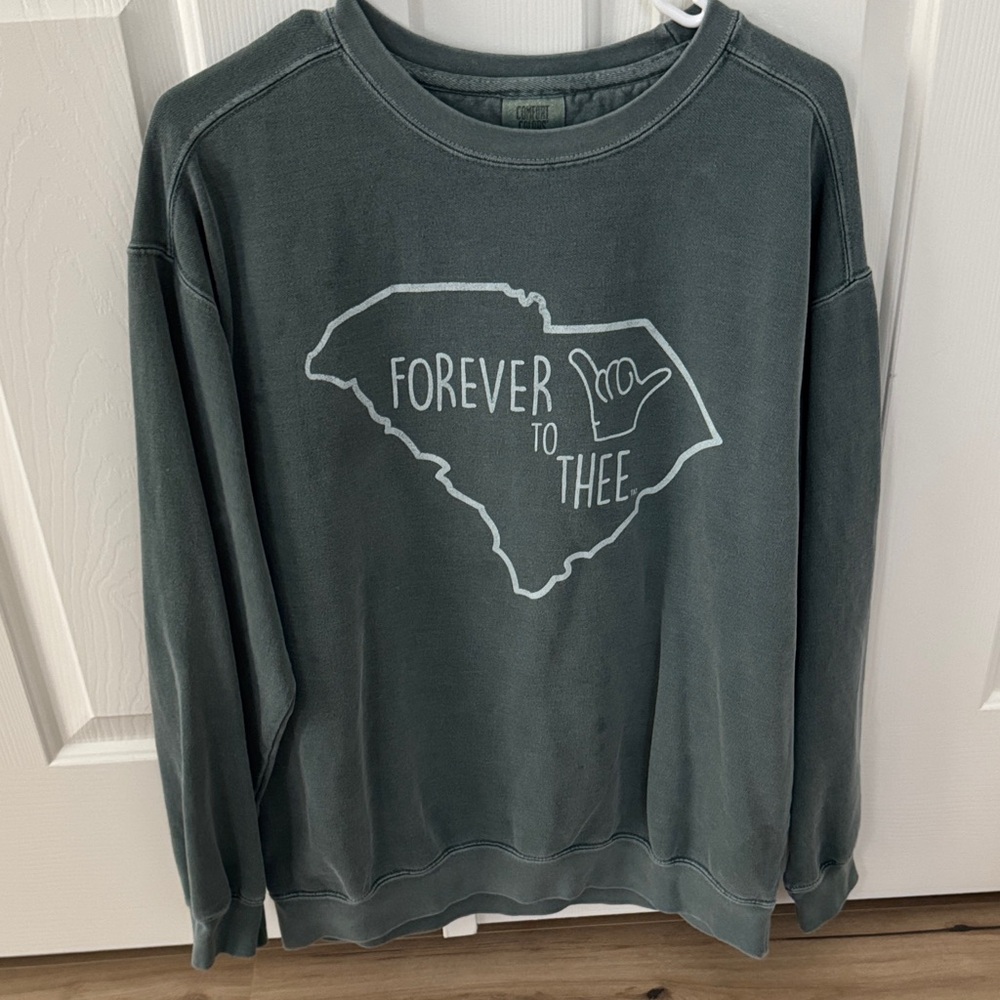 Comfort Colors Men's Forest Green Crewneck Sweater - Forever to Thee